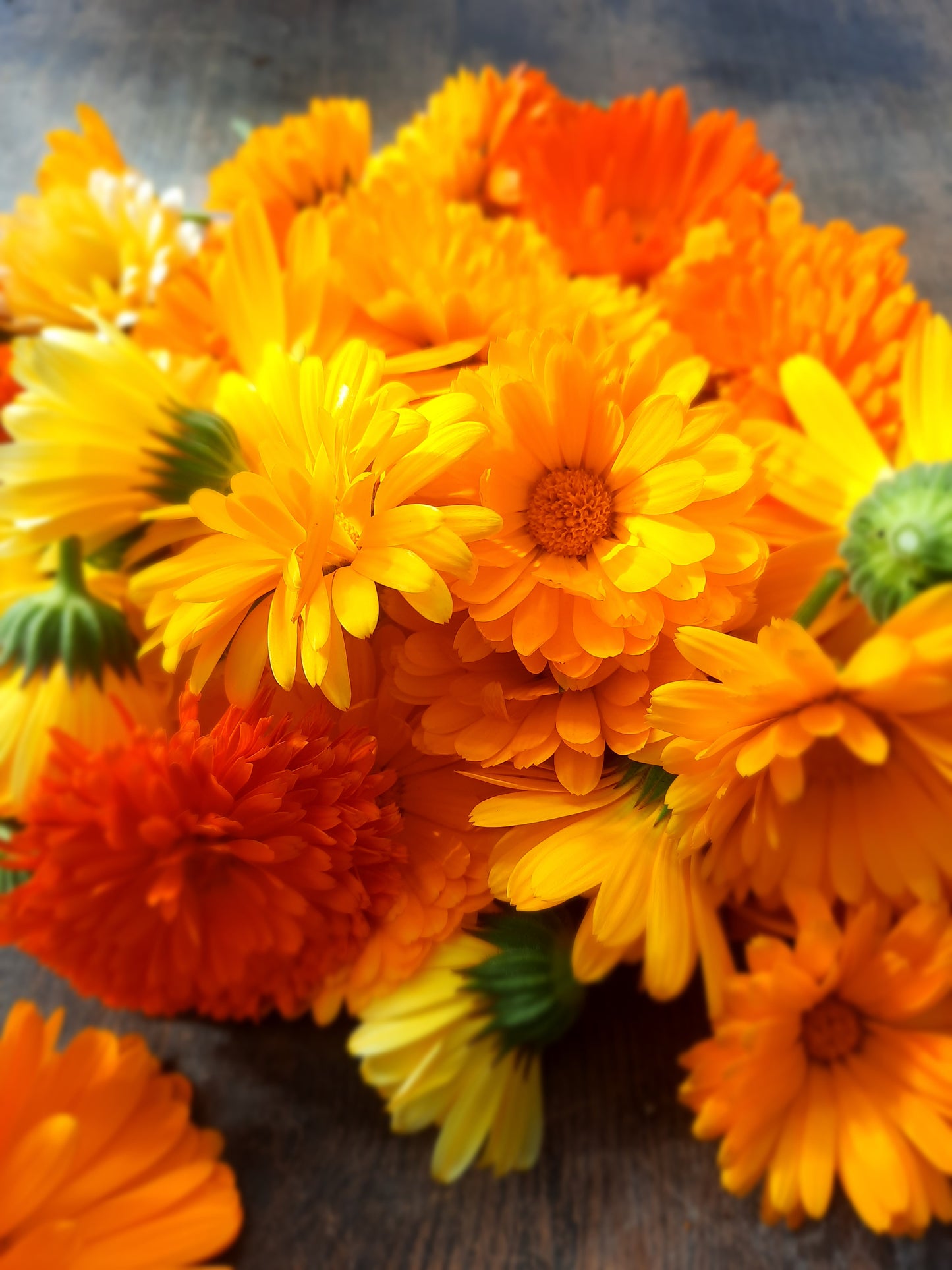 Herbal Infused Mabon Honey