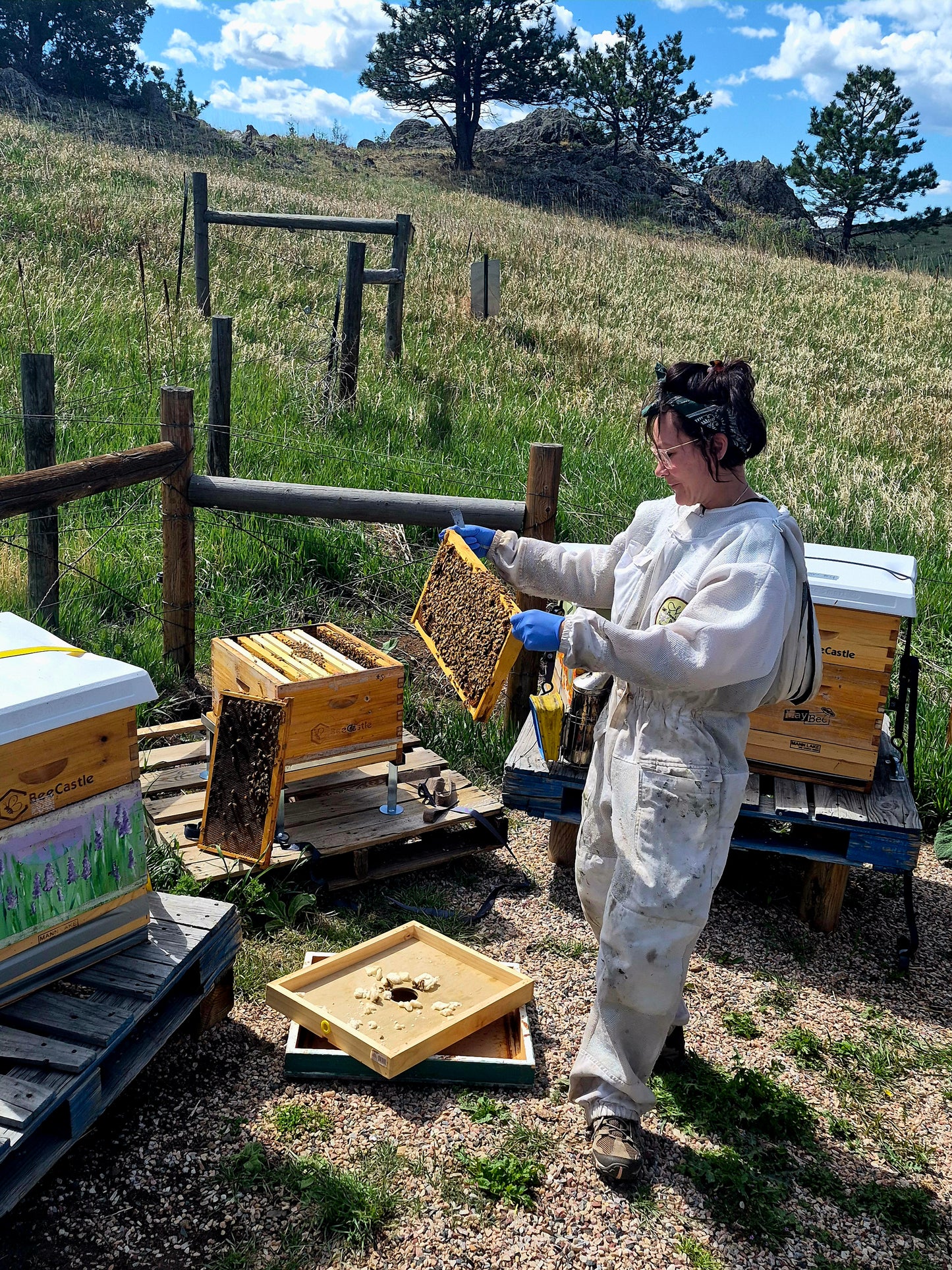 Wildflower Honey - Sacred Honeybee Offering
