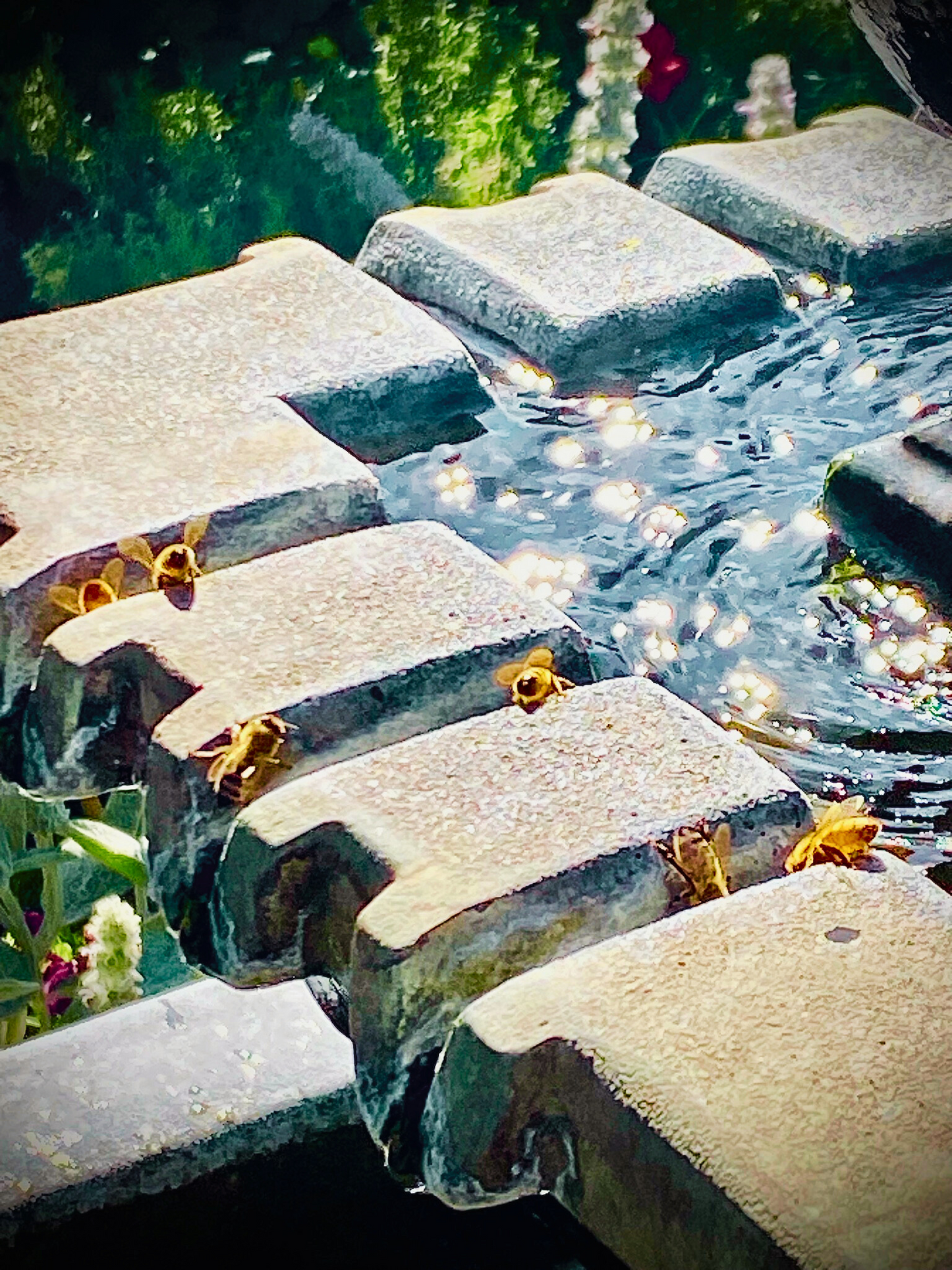 Wildflower Honey - Sacred Honeybee Offering