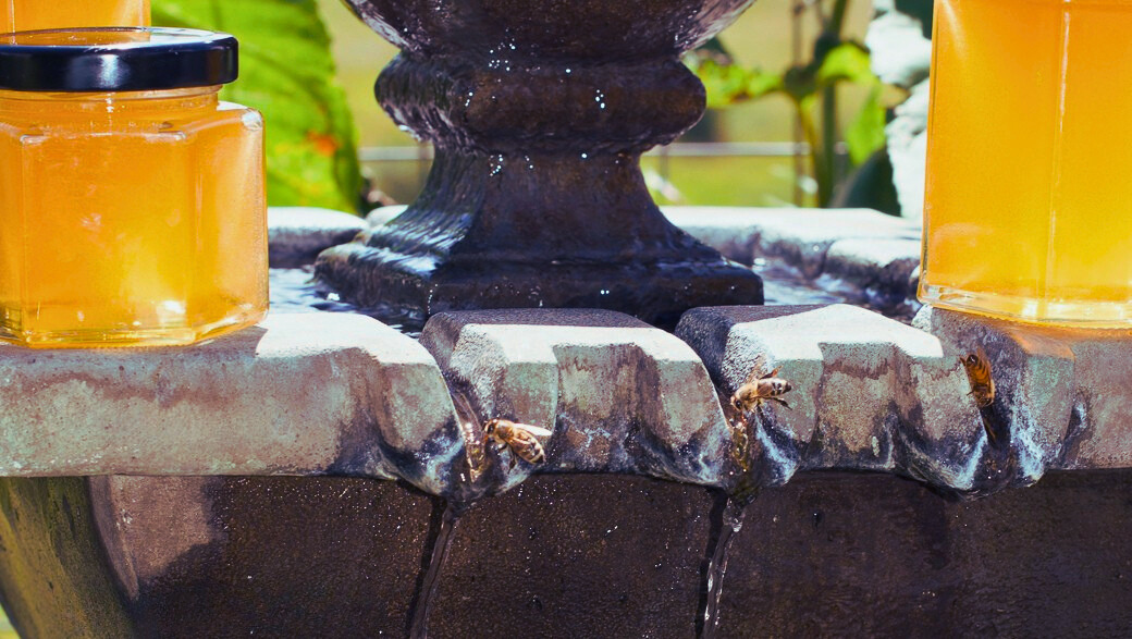 Wildflower Honey - Sacred Honeybee Offering