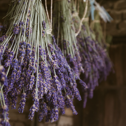 Herbal Infused Beltane Honey