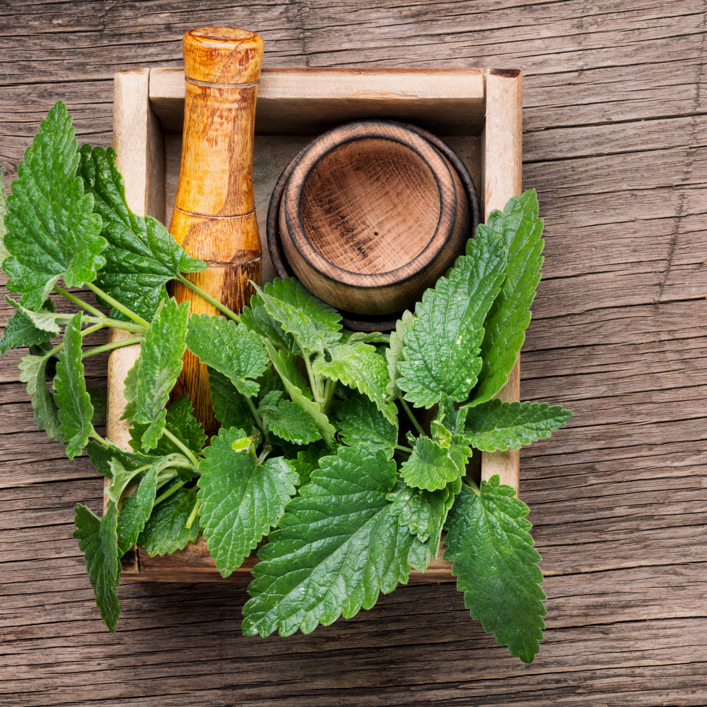 The Hedgerow Healers Herbal Tea