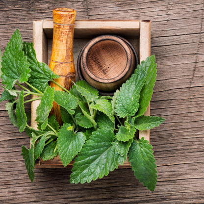 The Hedgerow Healers Herbal Tea
