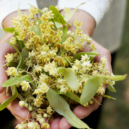 Herbal Infused Beltane Honey