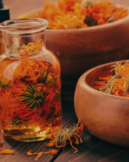 The Hedgerow Healers Balm Offering